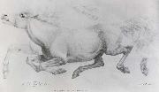 William Strutt Lady Blunt-s Arab mare,Sherifa France oil painting artist